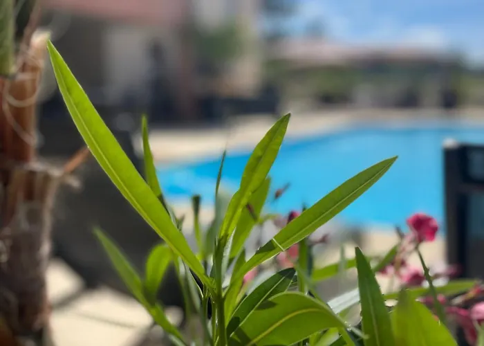 Art & Millesimes מלון Essoyes