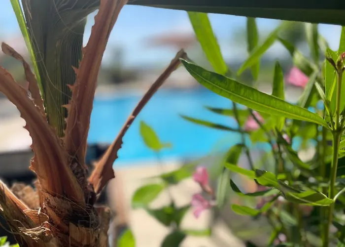 Art & Millesimes מלון